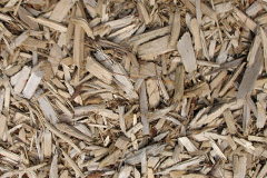 biomass boilers Critchill